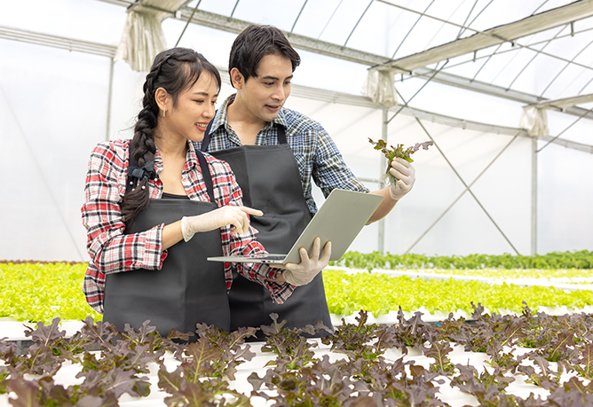 186-employer-visa Subclass 186 Employer