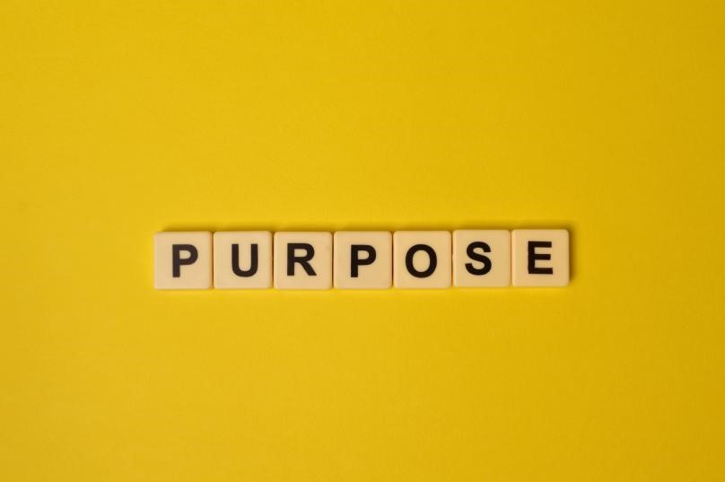 purpose